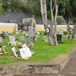 Auf den Grabsteinen sind Bilder... Finden wir sehr gut