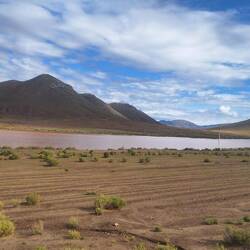 There was a surprising amount of water given the terrain.