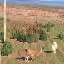 Surprising number of animals just off the side of the road.