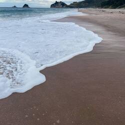 Hahei Beach