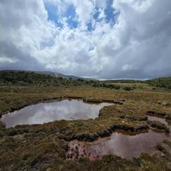 Auf dem Rückweg versteckt er sich immer noch... 🤔