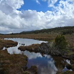 Hier sollte sich der Maunga Ruapehu spiegeln