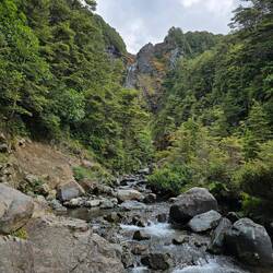 Waitonga Falls von weitem