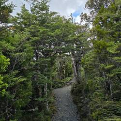 auf dem Weg zu den Waitonga Falls