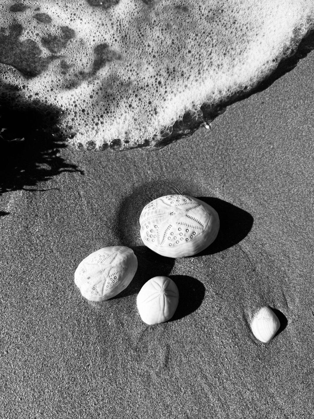 Coral Bay: so schön!🤩