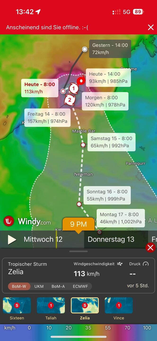 Darf ich vorstellen: Zelia....😝