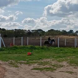 ...und schon sind sie weg