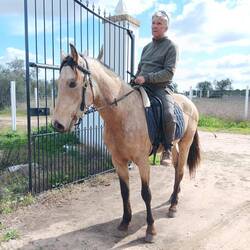 Lutz Leckebusch, der bekannte Westernreiter kommt kurz vorbei