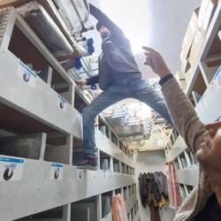 Aus BG Sicht völlig in Ordnung