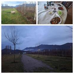 Lecker gegessen und viel über die Albaner gelernt 😇