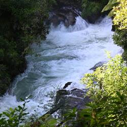 Kaituna River