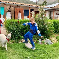 Dans le jardin de la Casa de Vivi