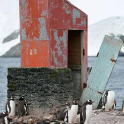 Long drop with a view.