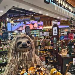 Costa Ricas Faultier begrüßt mich nett