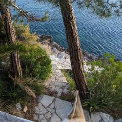 Überall diese süßen Steintreppen, welche ans Ufer führen