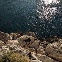 Wimmelbild: Wo ist Ed the Cat?