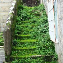 Hier ist wohl schon länger niemand hochgegangen....
