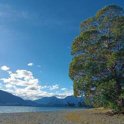 On s'est arrêtés au bord du lac de Te Anau en rentrant
