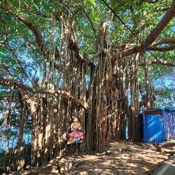 On the walk to the Temple