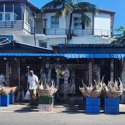 Dried fish vendor