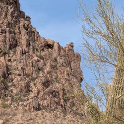 The Turk's Head is only viewable from this site.