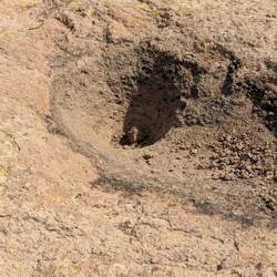 This is a hole where the Indians ground grain that they raised in this area.