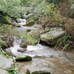 Wege IM Flussbett angelegt
