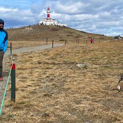 El comienzo de una bonita amistad
