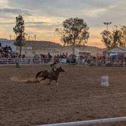 Barrel Racer