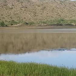 Beautiful reflection in the water