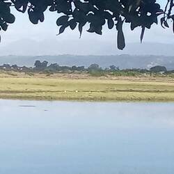 Shame it's too misty to see the mountains in the background