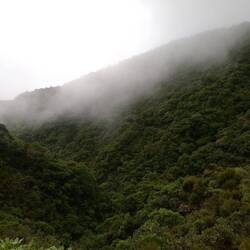 Christoph und Hannah ziehen im Regen los...