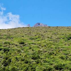 Die Spitze des Taranaki ist "schon" zu sehen