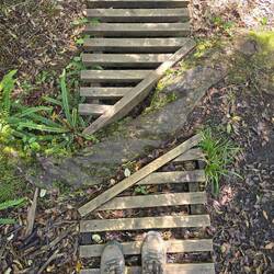 Der Bohlenweg kostet mich den letzten Nerv 😆