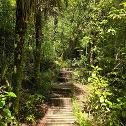 Und dann auch noch 3.820 Stufen... 🙉