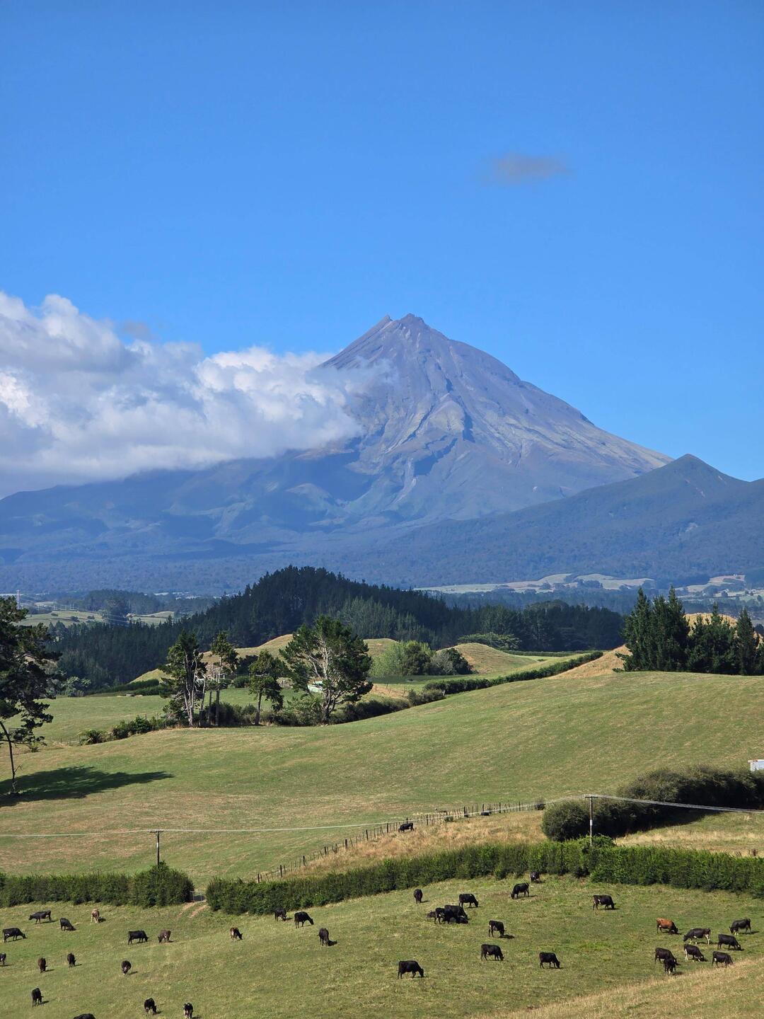 Maunga Taranaki: Endlich erwischt!