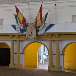 Da werden die Pferde in die Halle kommen