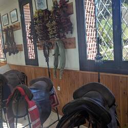 Verschiedene Sättel