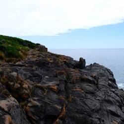 Mersey Bluff