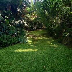 Hotel gardens hanga roa