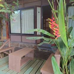My room / chalet