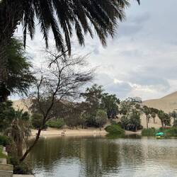 Oasis de la Huachachina