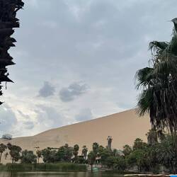 Oasis de la Huachachina