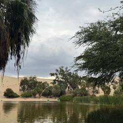 Oasis de la Huachachina