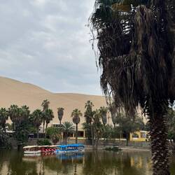 Oasis de la Huachachina