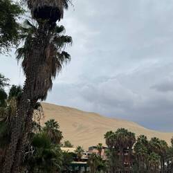 Oasis de la Huachachina