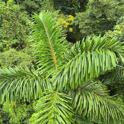 Groß und beeindruckend