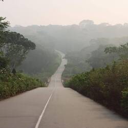 ...windet sich durch den dichten Regenwald...