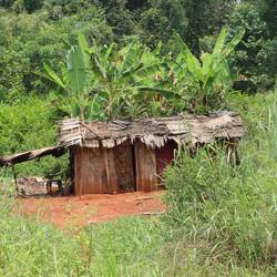 Es gibt auch hier immer wieder...