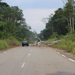 Selten ist auch mal ein Baum auf die Fahrbahn gefallen